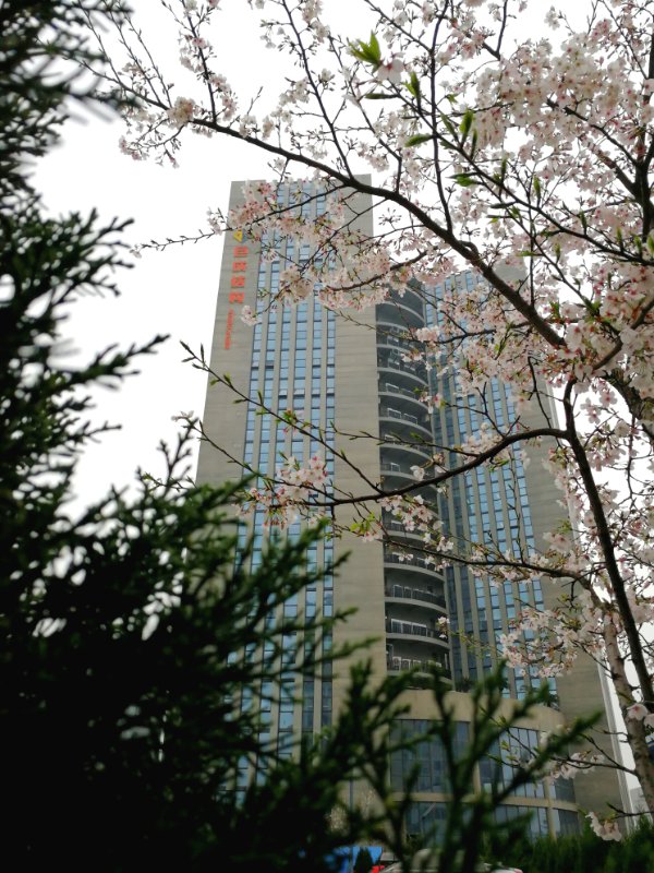 67381顶级娱乐(中国区)-游戏官方网站
